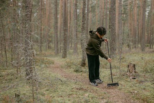 A man cleans a forest pathway, surrounded by natural trees and greenery.