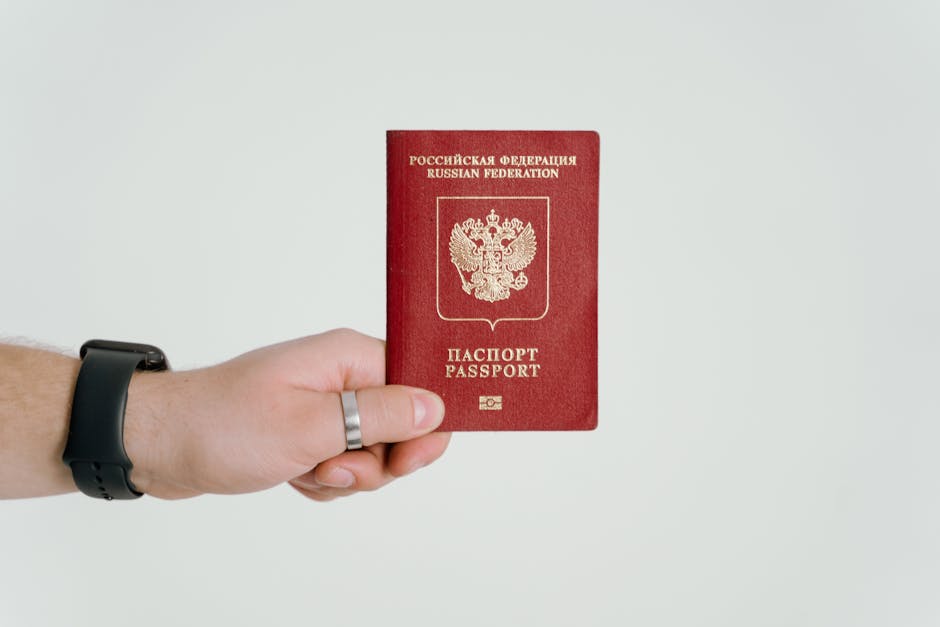 Перевод документов — рекомендации эксперта по выбору