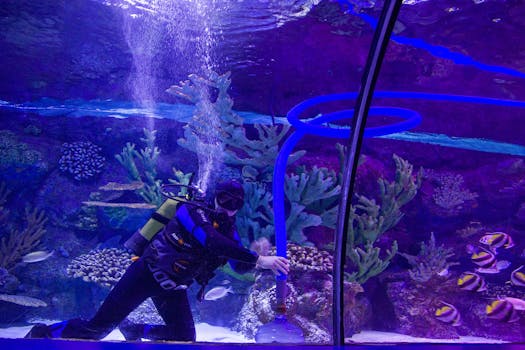 A scuba diver cleans an aquarium reef tank with colorful coral and fish, showcasing underwater maintenance.