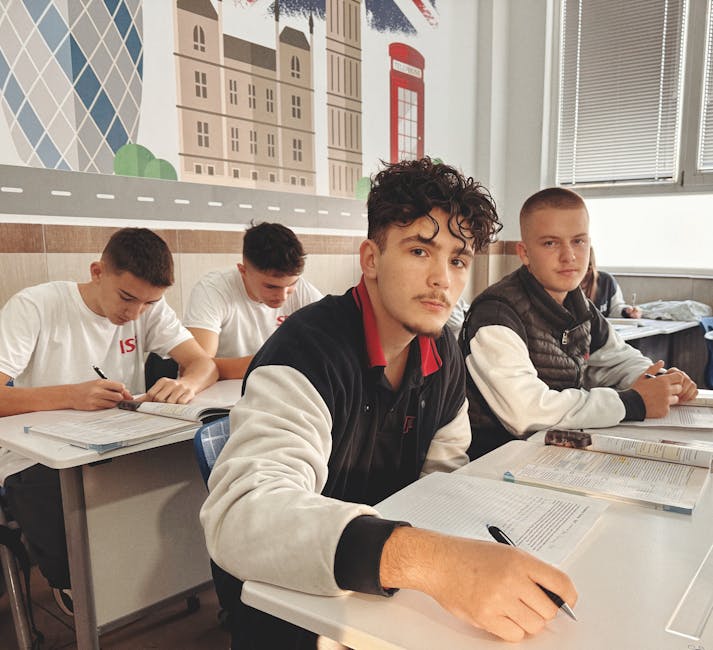 Подготовка к IELTS — процесс оказания услуги специалистом