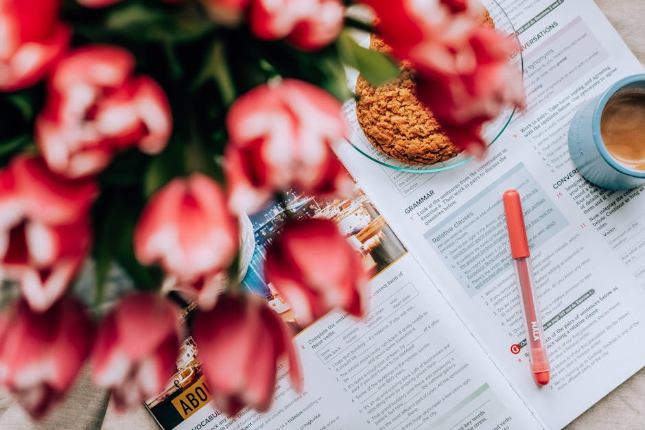 Подготовка к IELTS — рекомендации эксперта по выбору