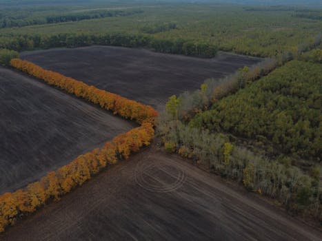 Drone shot of colorful autumn trees bordering dark fields near a lush green forest in Koren'kovo, Russia.